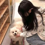 灵狐小倩内购破解版下载